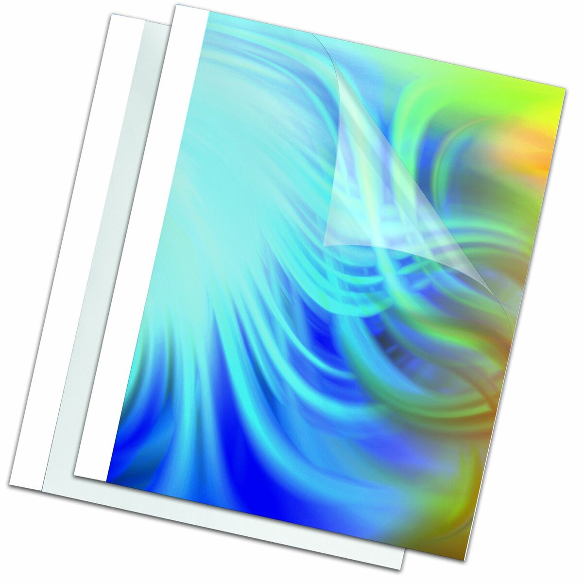 Portfolio Item