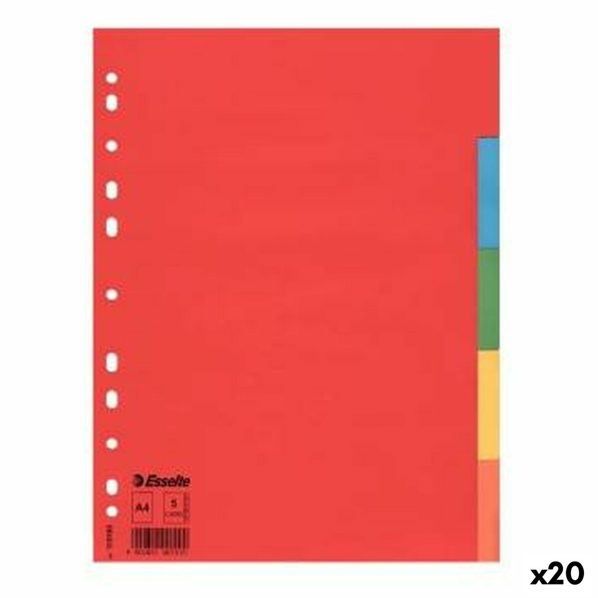 Portfolio Item